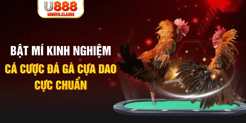 sv388 gold casino hồ tràm có cho người việt vào không