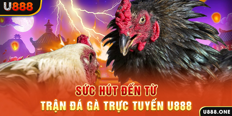 sv388 gold đăng nhập poker 2024