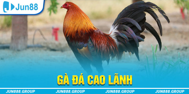 sv388 gold tai game vua bai ve may tinh