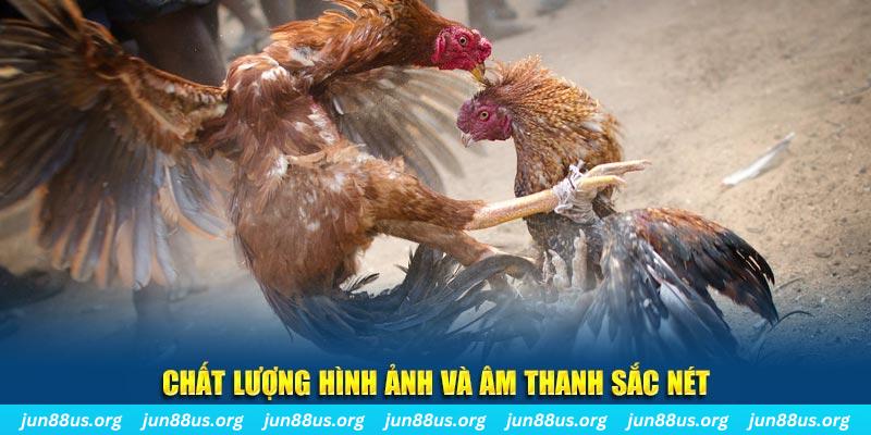 sv388 gold tai game danh bai mien phi ve may tinh