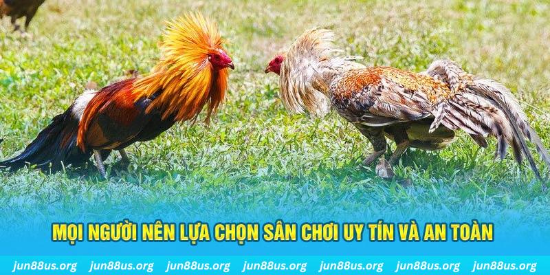 sv388 gold đăng nhập poker 2025