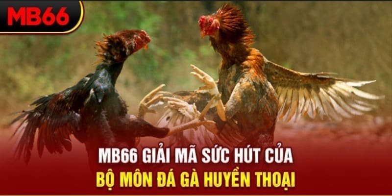 sv388 gold xổ số đài bắc