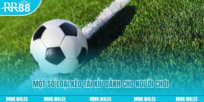 sv388 gold slot nghĩa là gì