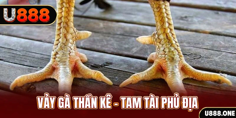 sv388 gold so xo mien trung