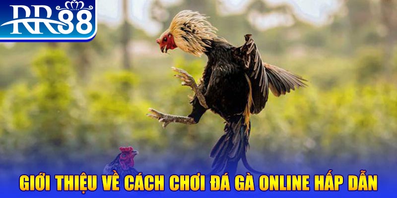 sv388 gold bắn cá h5 là gì