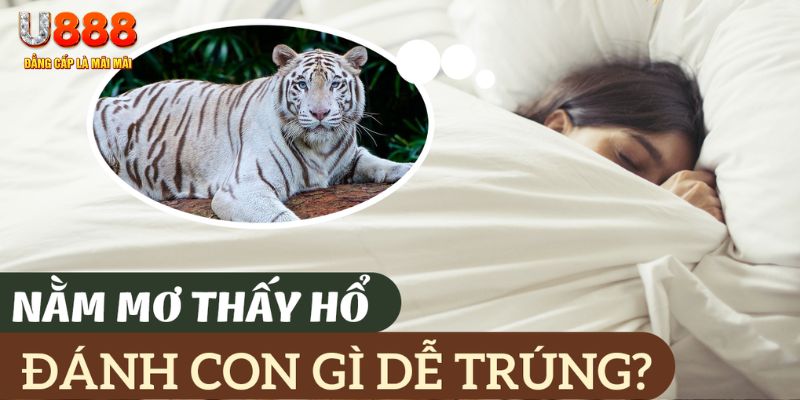 sv388 gold nohu .mx nổ hủ là gì
