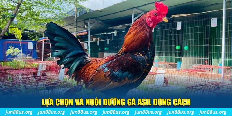 sv388 gold nổ hũ thần tài là gì