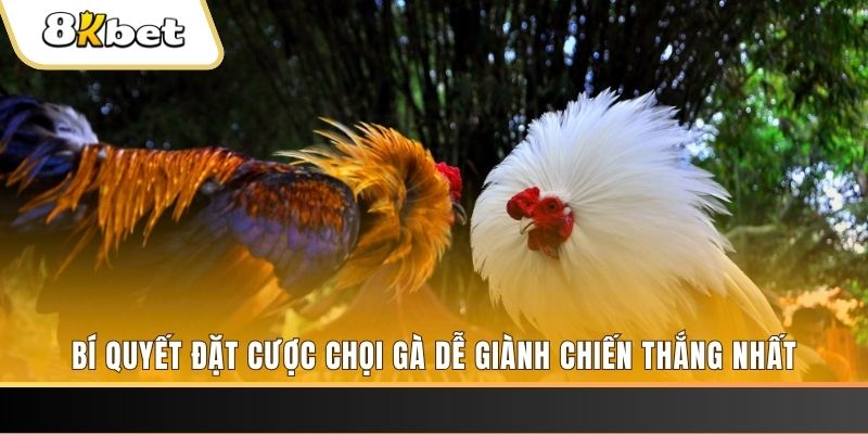 sv388 gold nổ hũ chơi như thế nào