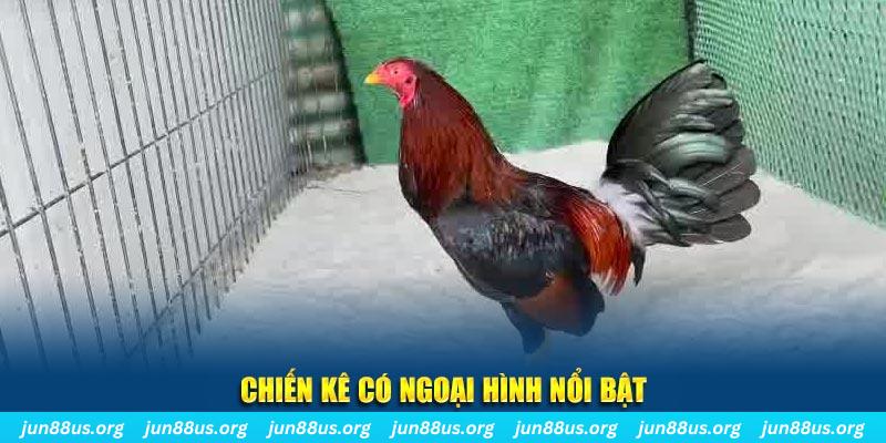 sv388 gold qq88 bắn cá