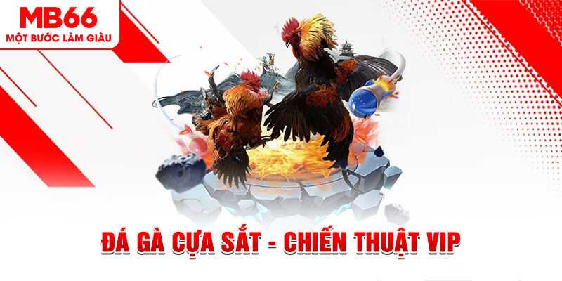 sv388 gold slot out là gì