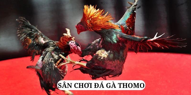 quay nổ hũ là gì