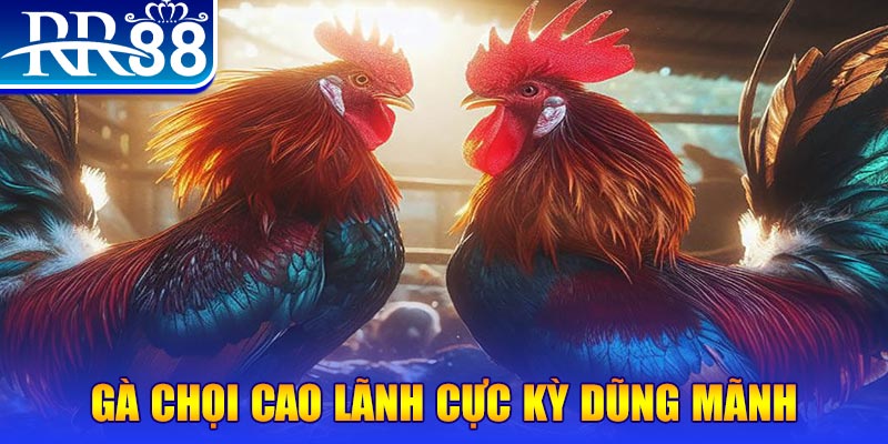 sv388 gold đăng nhập poker live